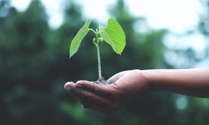 Eco-Friendly Gift Ideas